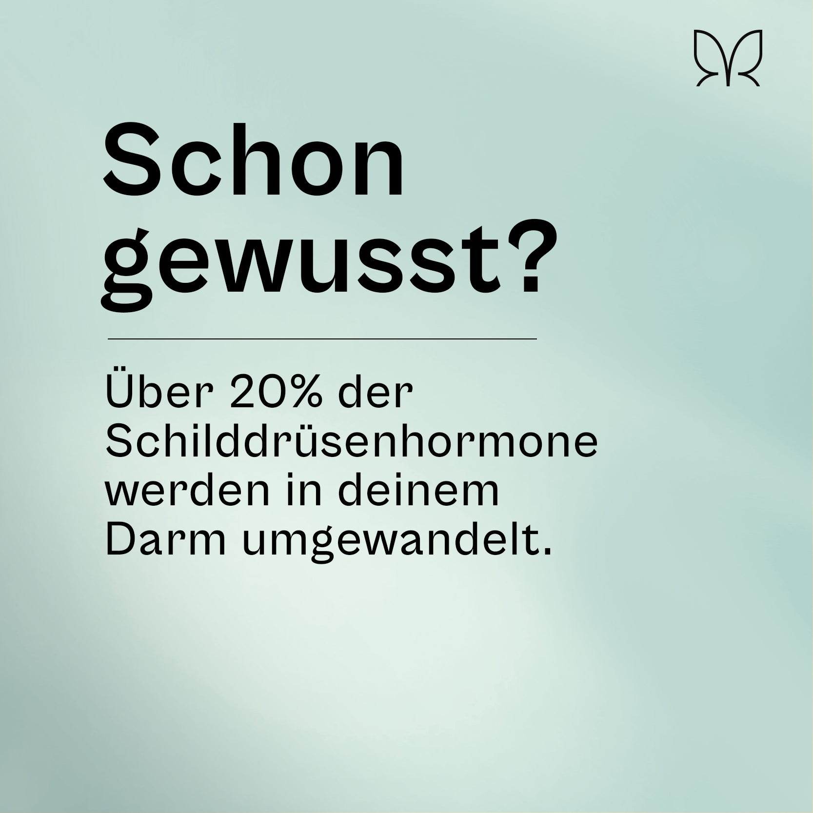 miavola-der-magenfreund-kapseln-30-tage-vorrat-darm image 2