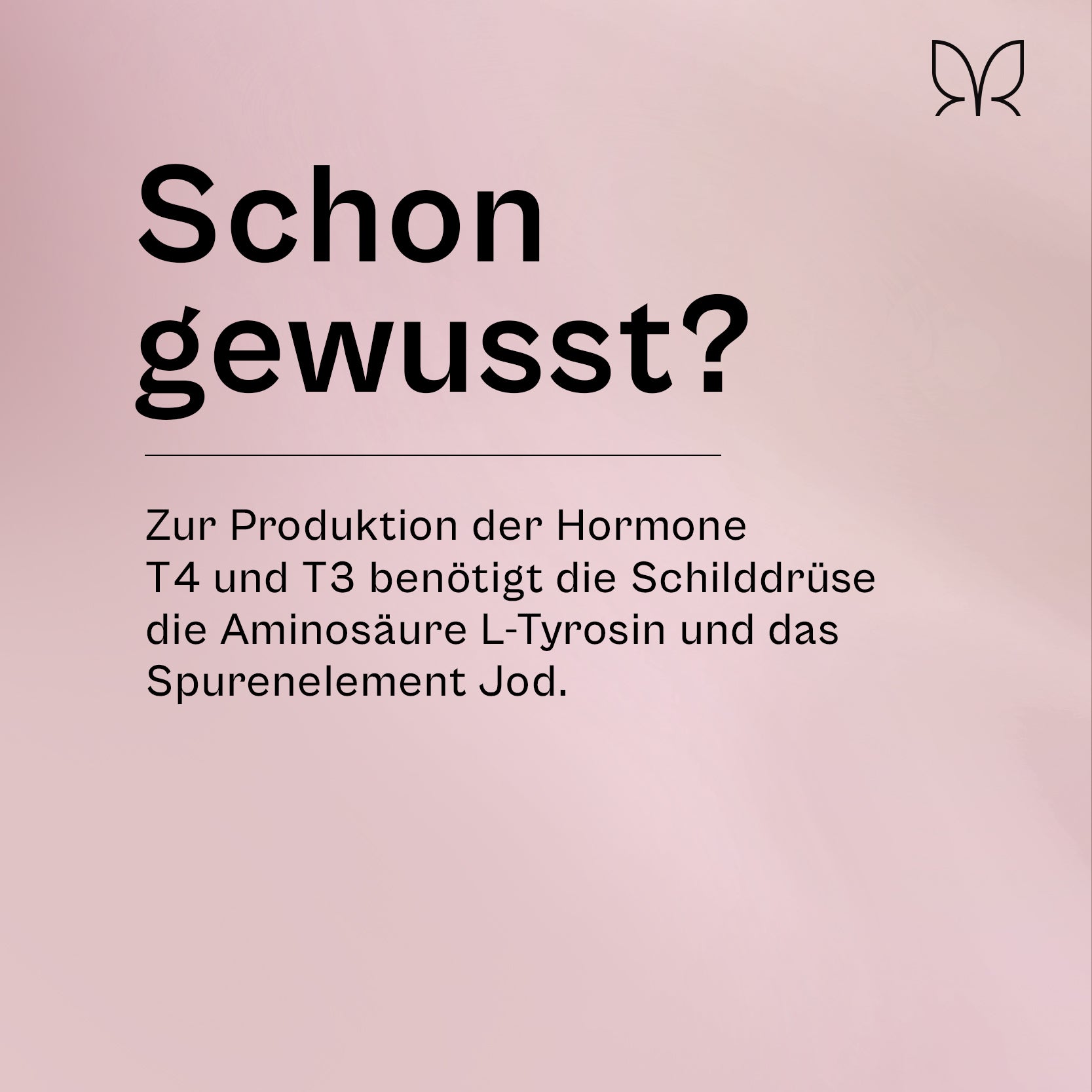 miavola-der-produzent-set-30-tage-vorrat-paket image 2